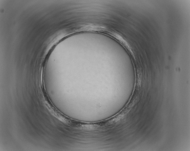 X0000084041227200703022140