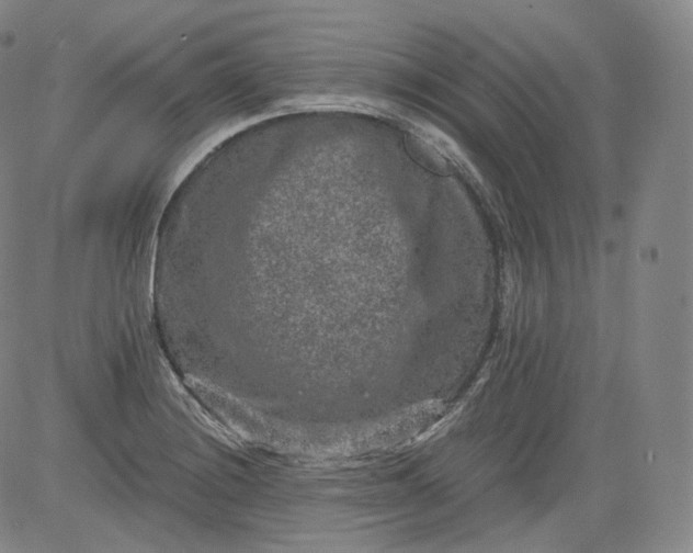 X0000084041228200703022140