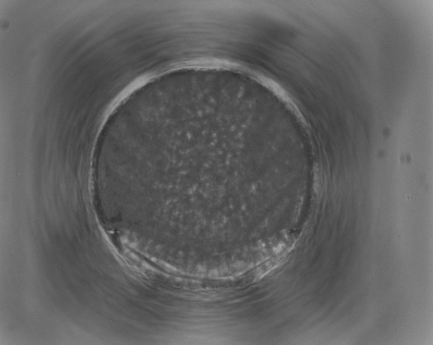 X0000084041229200703022140