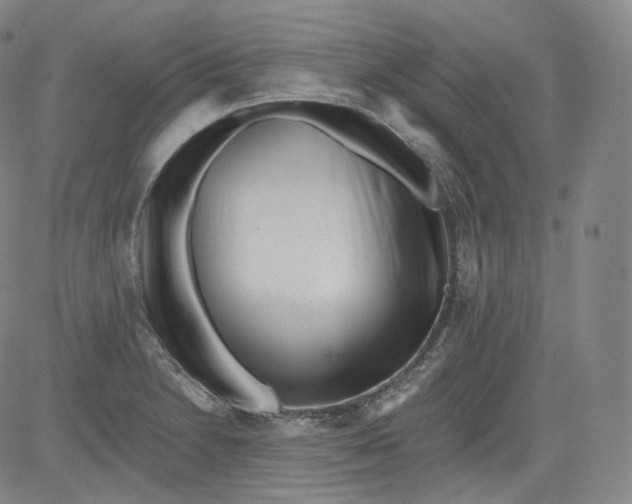 X0000084041230200703022140