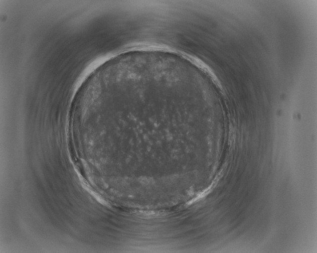 X0000084041231200703022140