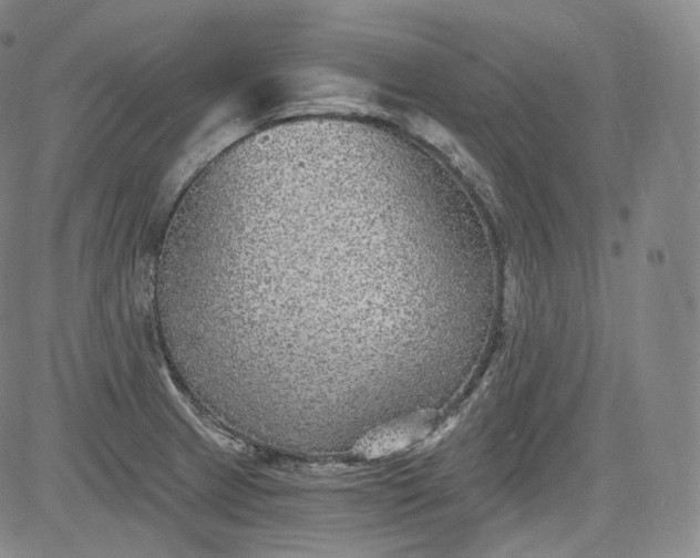 X0000084041233200703022140