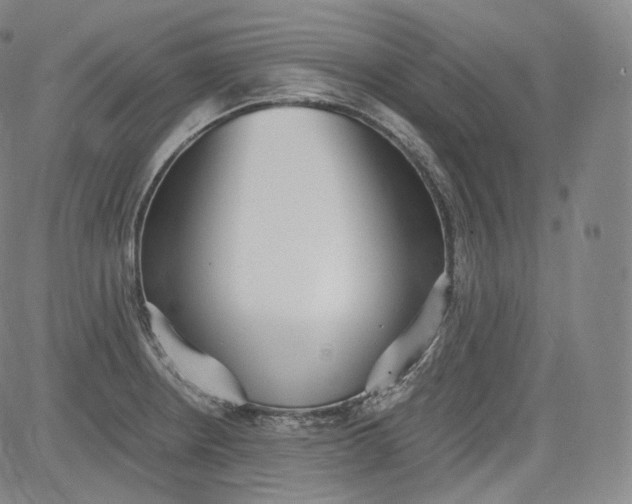 X0000084041234200703022140