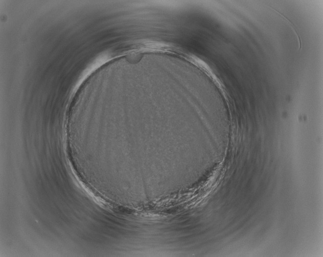 X0000084041235200703022140