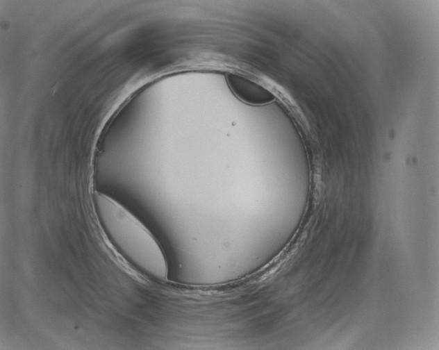 X0000084041236200703022140