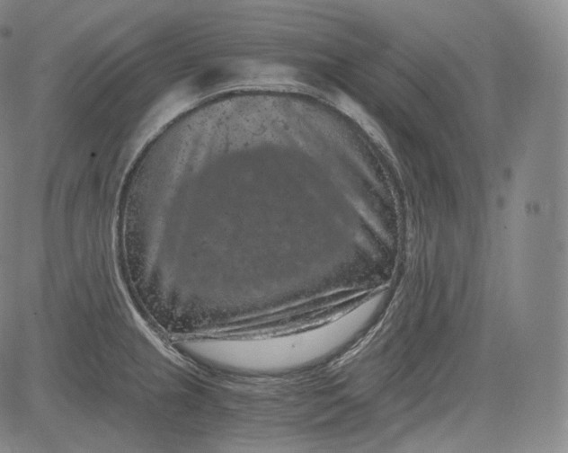 X0000084041237200703022140