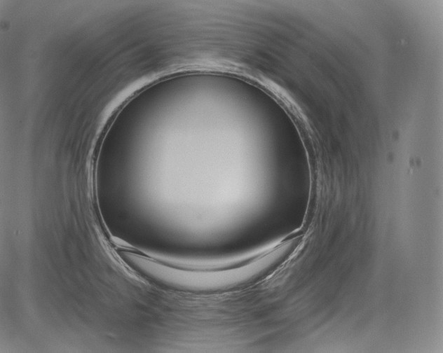 X0000084041238200703022140