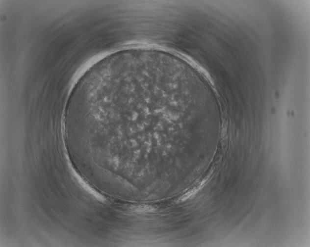 X0000084041239200703022140