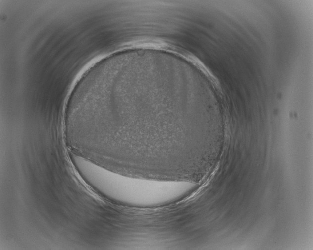 X0000084041240200703022141