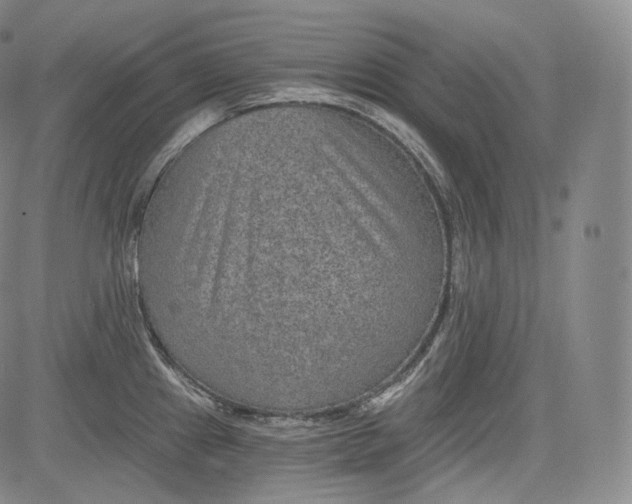 X0000084041241200703022141