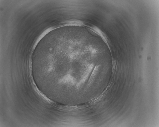 X0000084041243200703022141