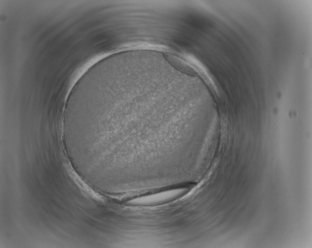 X0000084041244200703022141