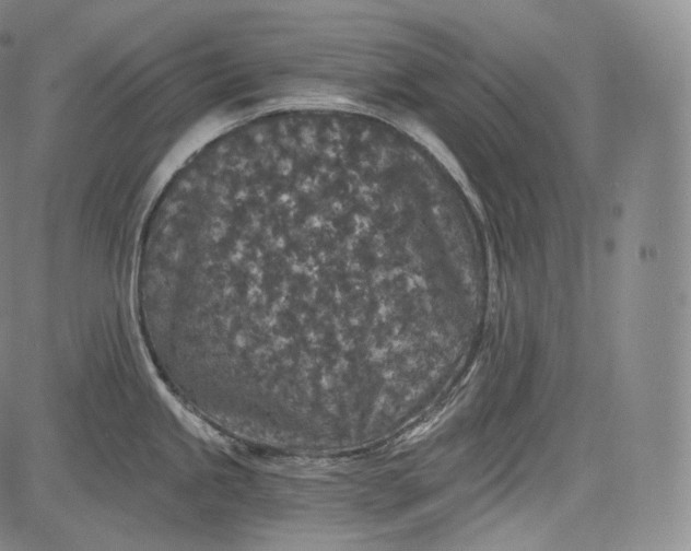 X0000084041245200703022141