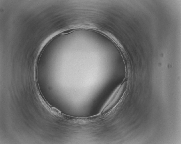 X0000084041246200703022141