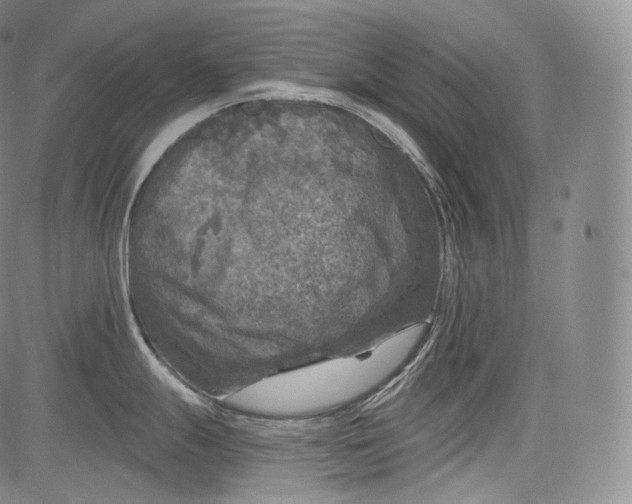 X0000084041247200703022141