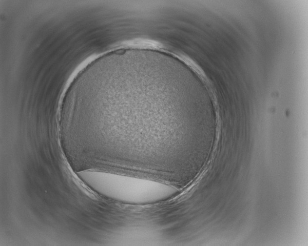 X0000084041248200703022141