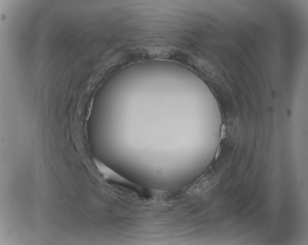 X0000084041249200703022140