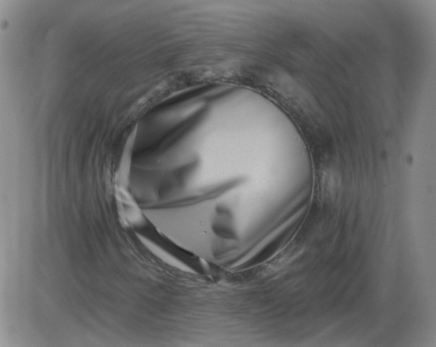 X0000084041250200703022140