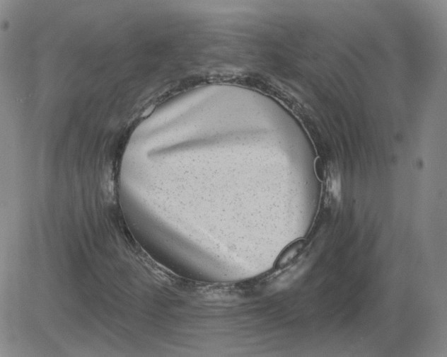 X0000084041252200703022140