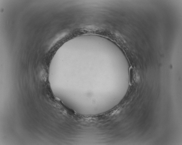 X0000084041253200703022140