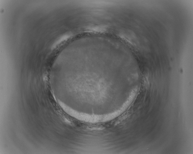 X0000084041254200703022140