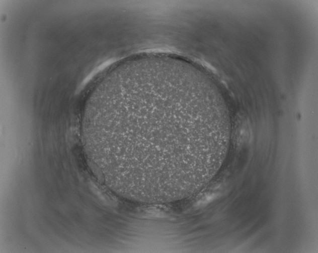 X0000084041255200703022140