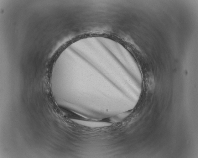 X0000084041256200703022140