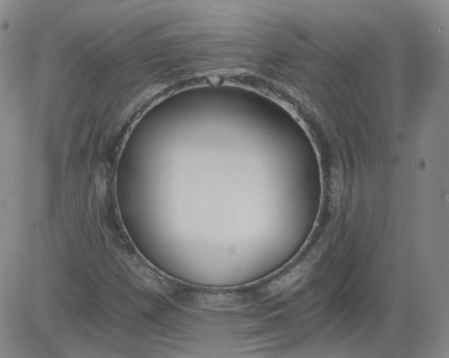 X0000084041257200703022140