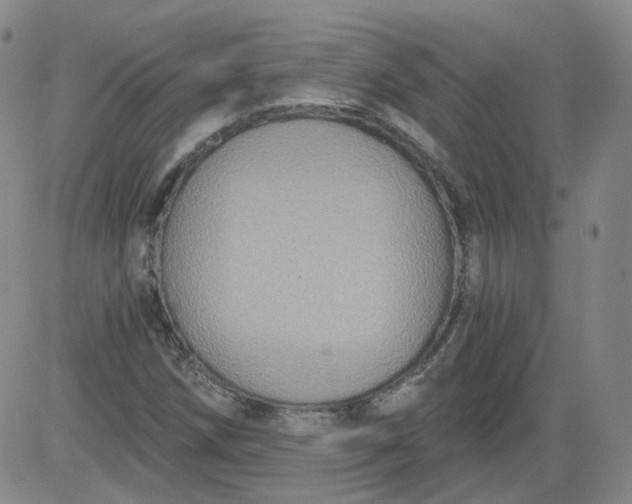 X0000084041258200703022140