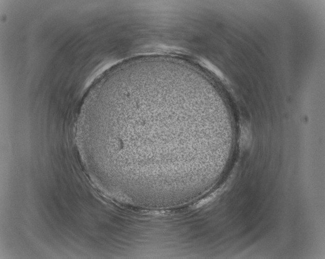 X0000084041259200703022140