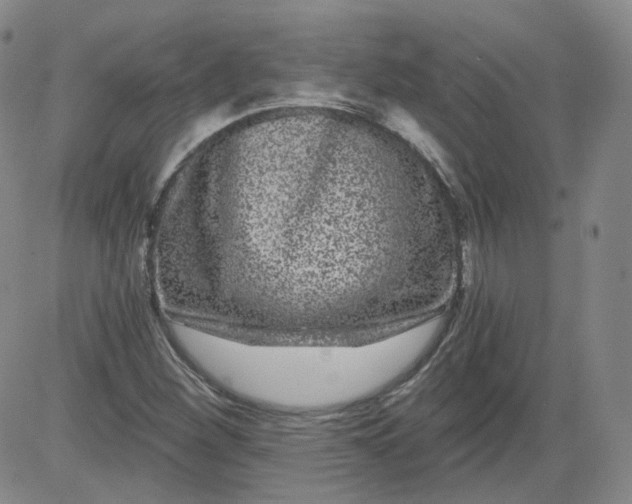 X0000084041260200703022140