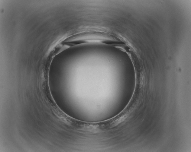 X0000084041261200703022140