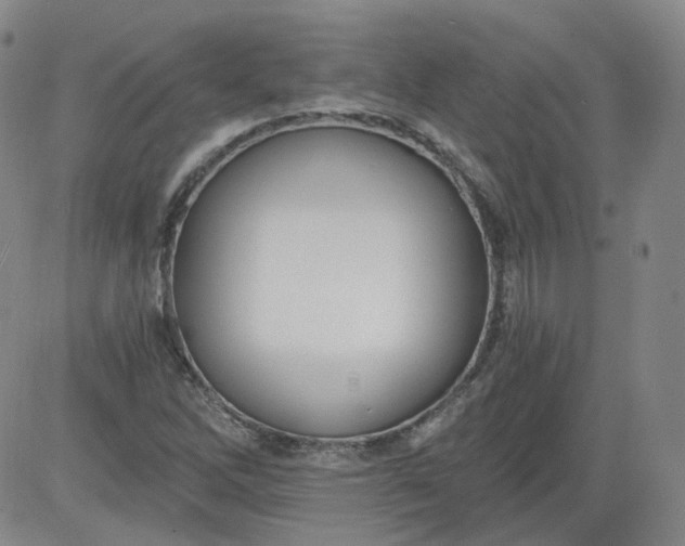 X0000084041262200703022140