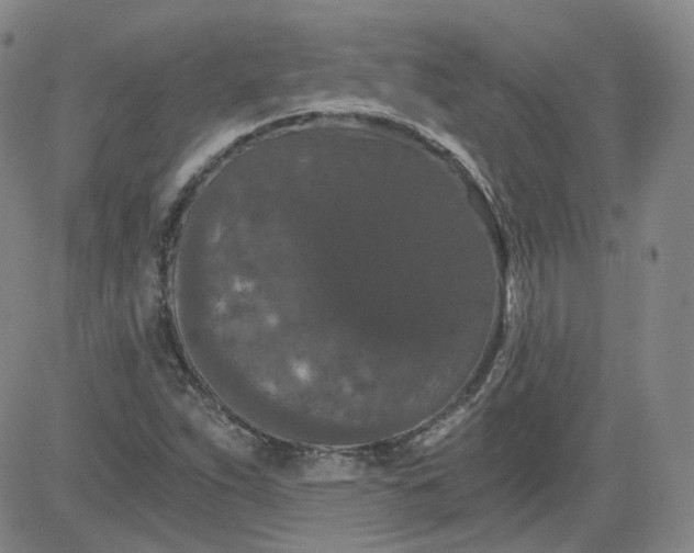 X0000084041263200703022140