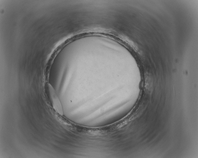 X0000084041264200703022140