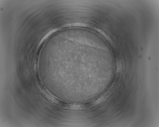 X0000084041266200703022140