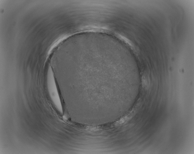 X0000084041267200703022140