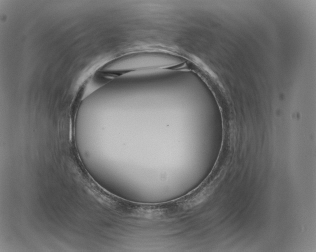 X0000084041269200703022139