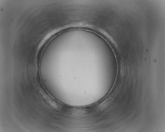 X0000084041270200703022139