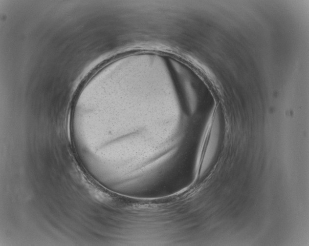 X0000084041272200703022139