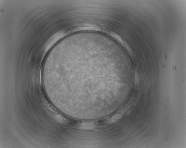 X0000084041274200703022139