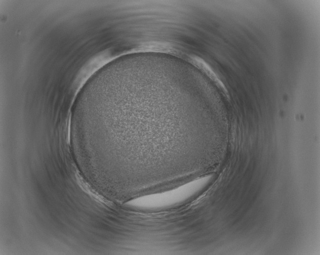 X0000084041276200703022139