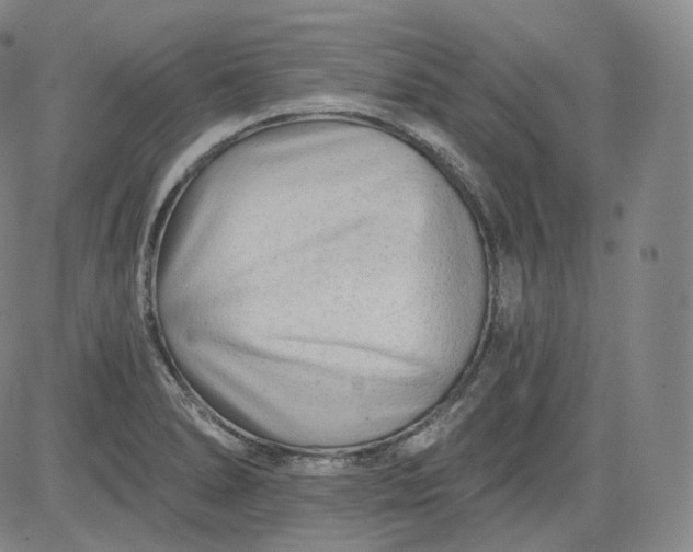 X0000084041278200703022139