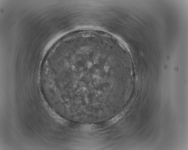 X0000084041279200703022139