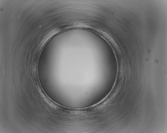 X0000084041281200703022139