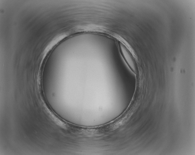 X0000084041285200703022139