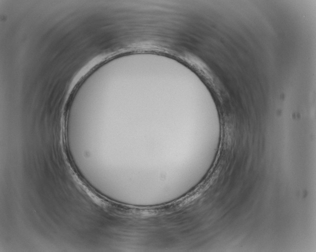 X0000084041286200703022139