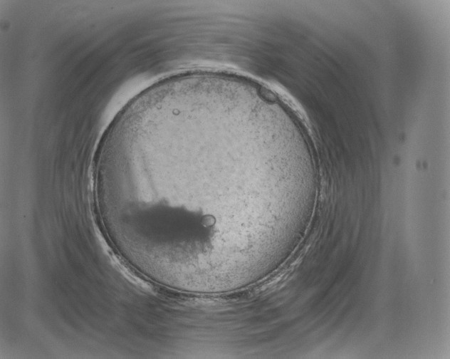 X0000084041287200703022139