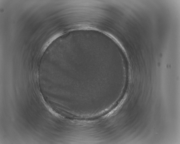 X0000084041289200703022139