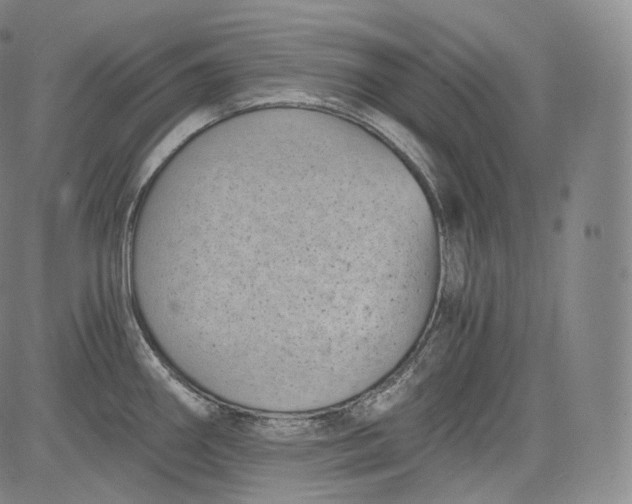 X0000084041290200703022139